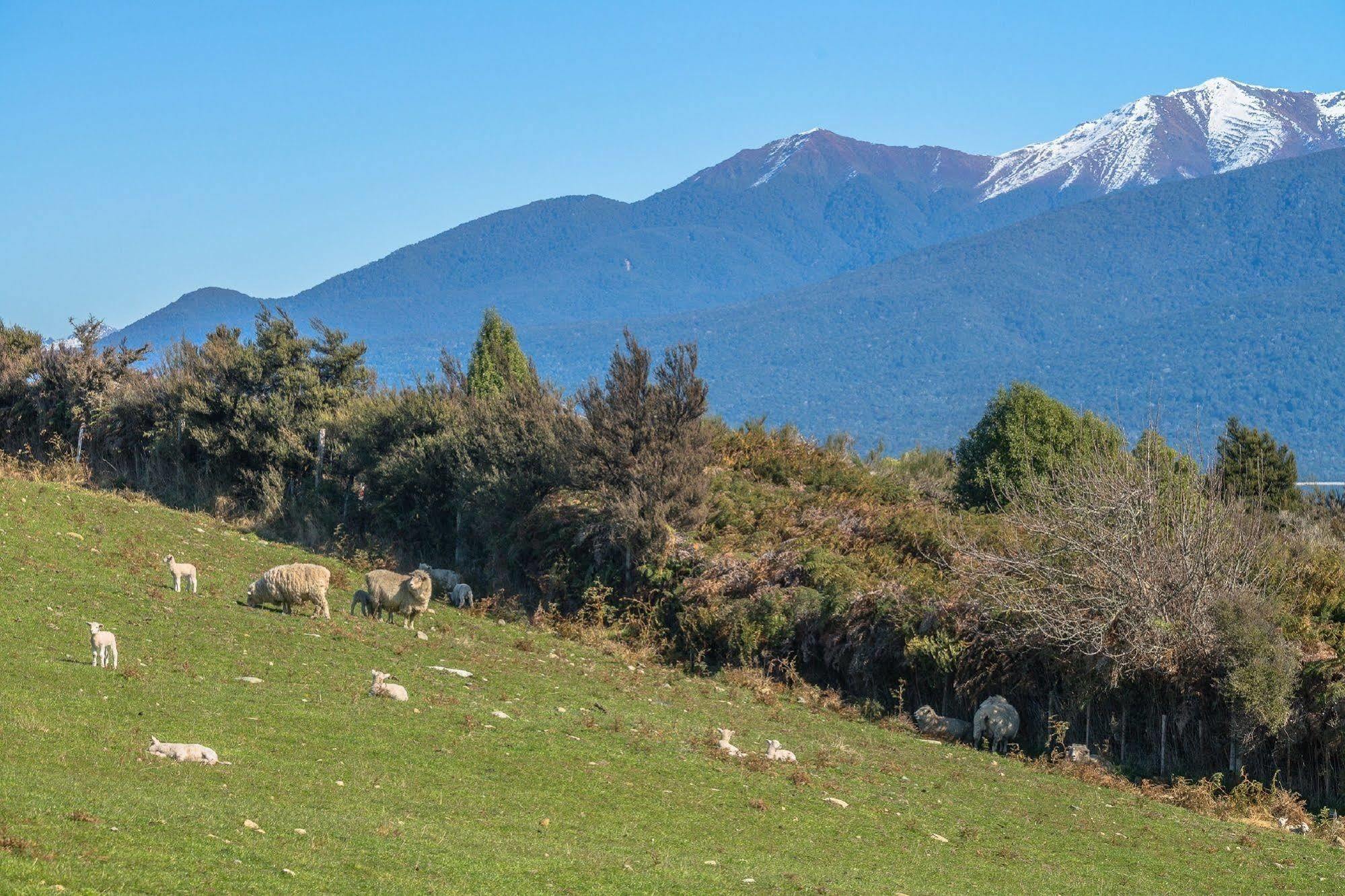 Loch Vista Bed & Breakfast Te Anau Εξωτερικό φωτογραφία